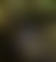 A hidden world worth examining.