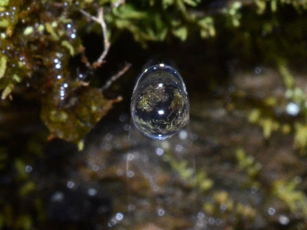 A hidden world worth examining.