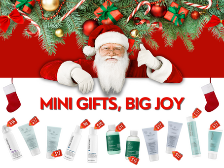 2024 Christmas Promos