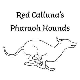 Writer: redcallunas