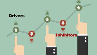 Drivers of Revenue Growth