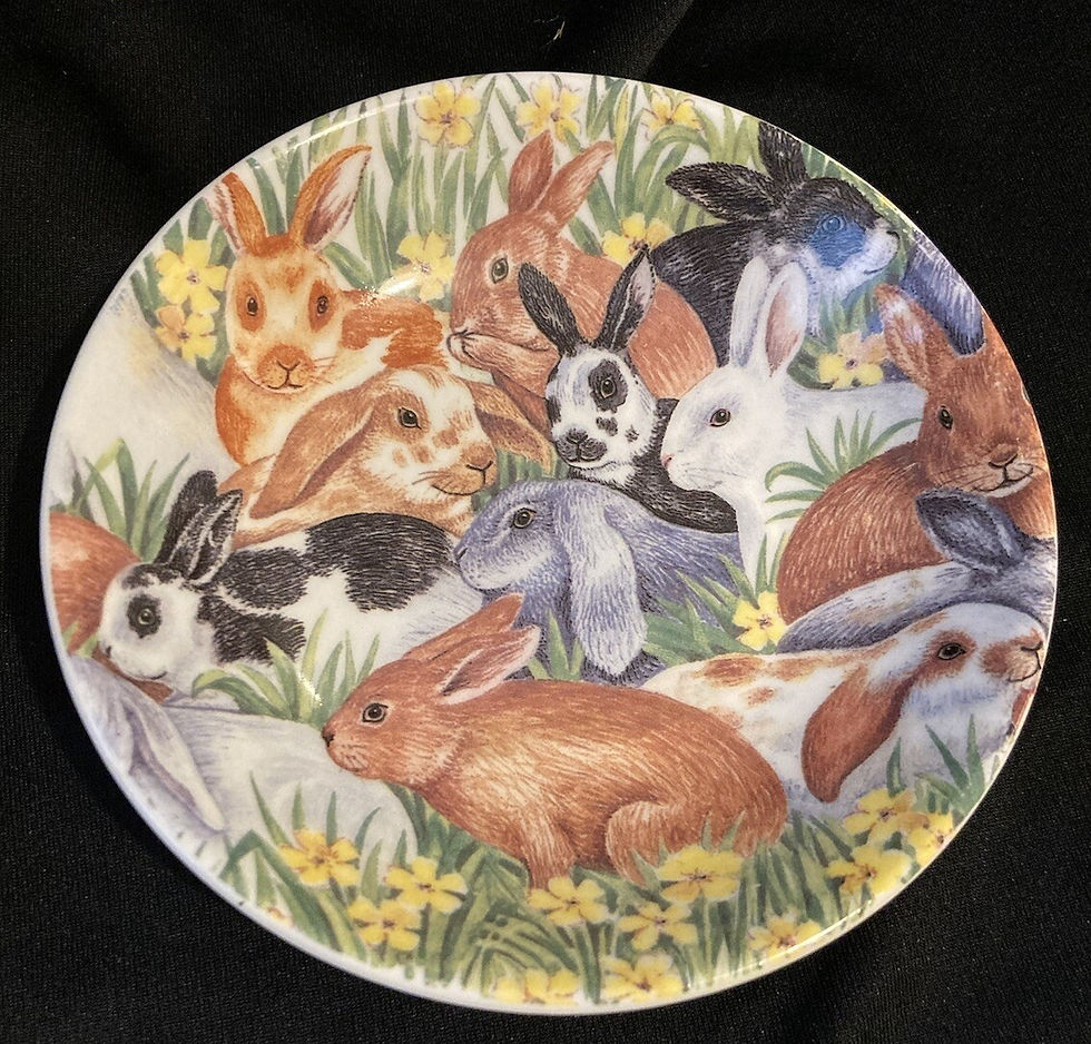 Thumbnail: Queens Fine Bone China Farmyard Pin Dish Rabbits. Diameter 12.25cm