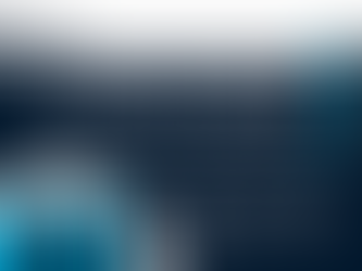 Case Studies in Offshore Labour: Success Stories and Lessons Learned