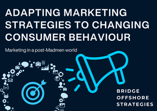 Adapting Marketing Strategies to Changing Consumer Behaviour 