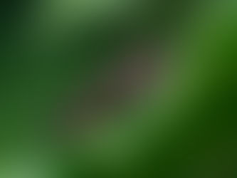 Tiny Worlds – What I Learned at a Macro Photography Workshop