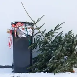 Unwrapping the Truth: How Sustainable is Christmas?
