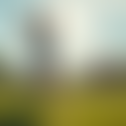 Transform Your Outfield Skills with Coach Curry's Expert Training