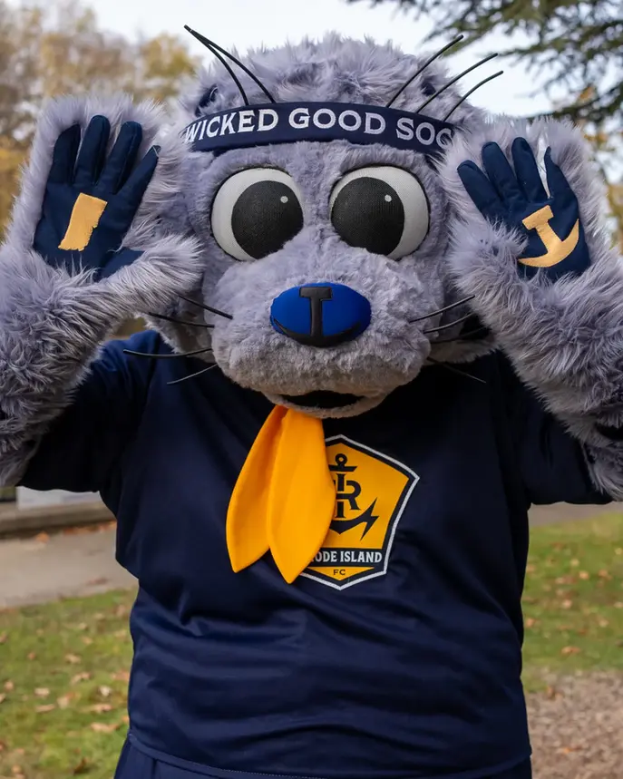 Seal mascot wearing a "Wicked Good Sox" headband and navy shirt.