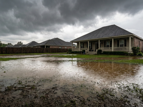 Why Your Yard Stays Wet: Diagnosing Drainage & Mud Issues in New Orleans
