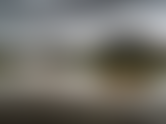 Why Your Yard Stays Wet: Diagnosing Drainage & Mud Issues in New Orleans