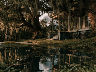 Pre-Purchase Drainage Assessments in New Orleans: A Guide