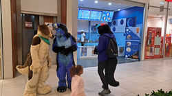 photo_263_21-05-2023_01-36-46