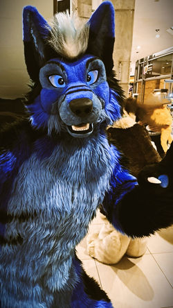 photo_311_21-05-2023_01-37-45