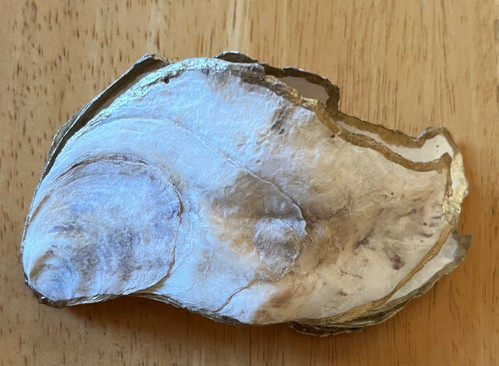All Products | Leigh's Maine Shells