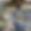 Thumbnail: Octopus Shell