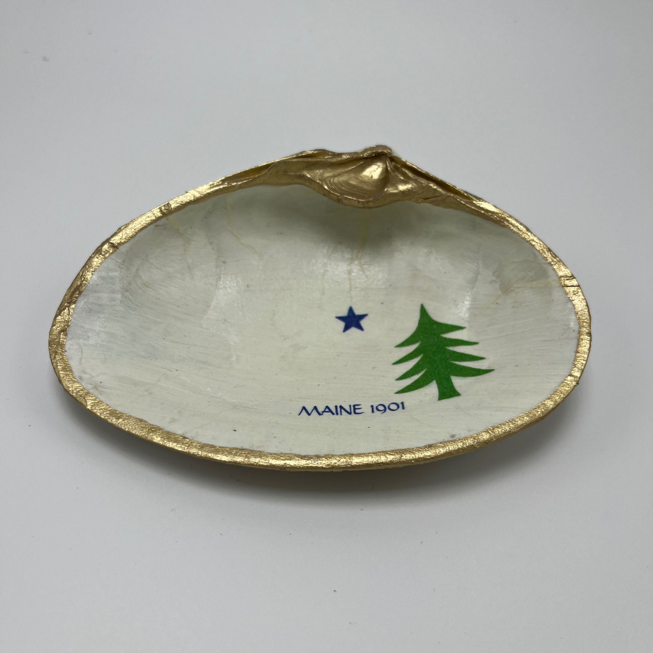 1901 Maine Flag Shell