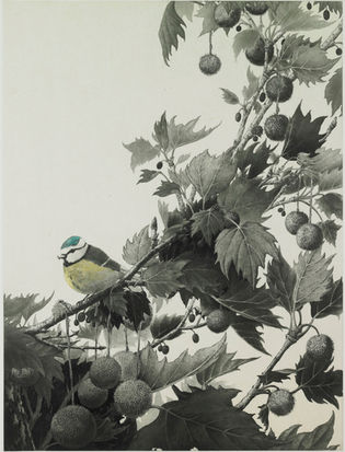 2012木漏れ日49×37ed.30-48,000-.jpg