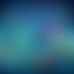 E-Ticaretin Geleceği: 2024 ve Ötesi