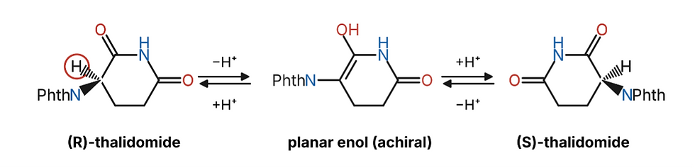 Chemistry diagram of (R)- and (S)-thalidomide interconverting through a planar enol, with +H+ and -H+ arrows.
