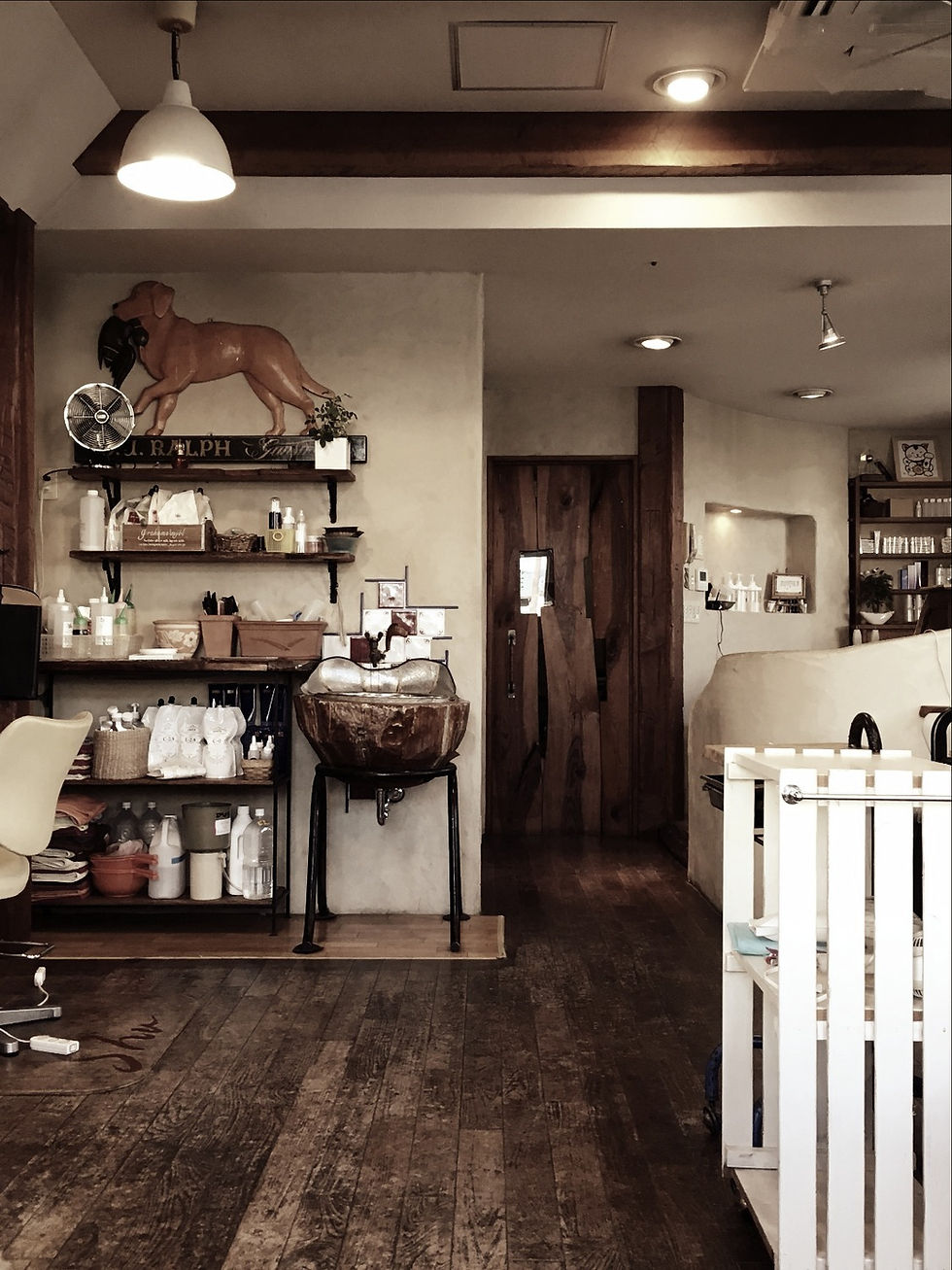 IMG_4465_edited_edited