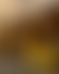 Effective Post-Construction Cleanup Solutions for You