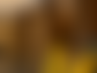 Effective Post-Construction Cleanup Solutions for You