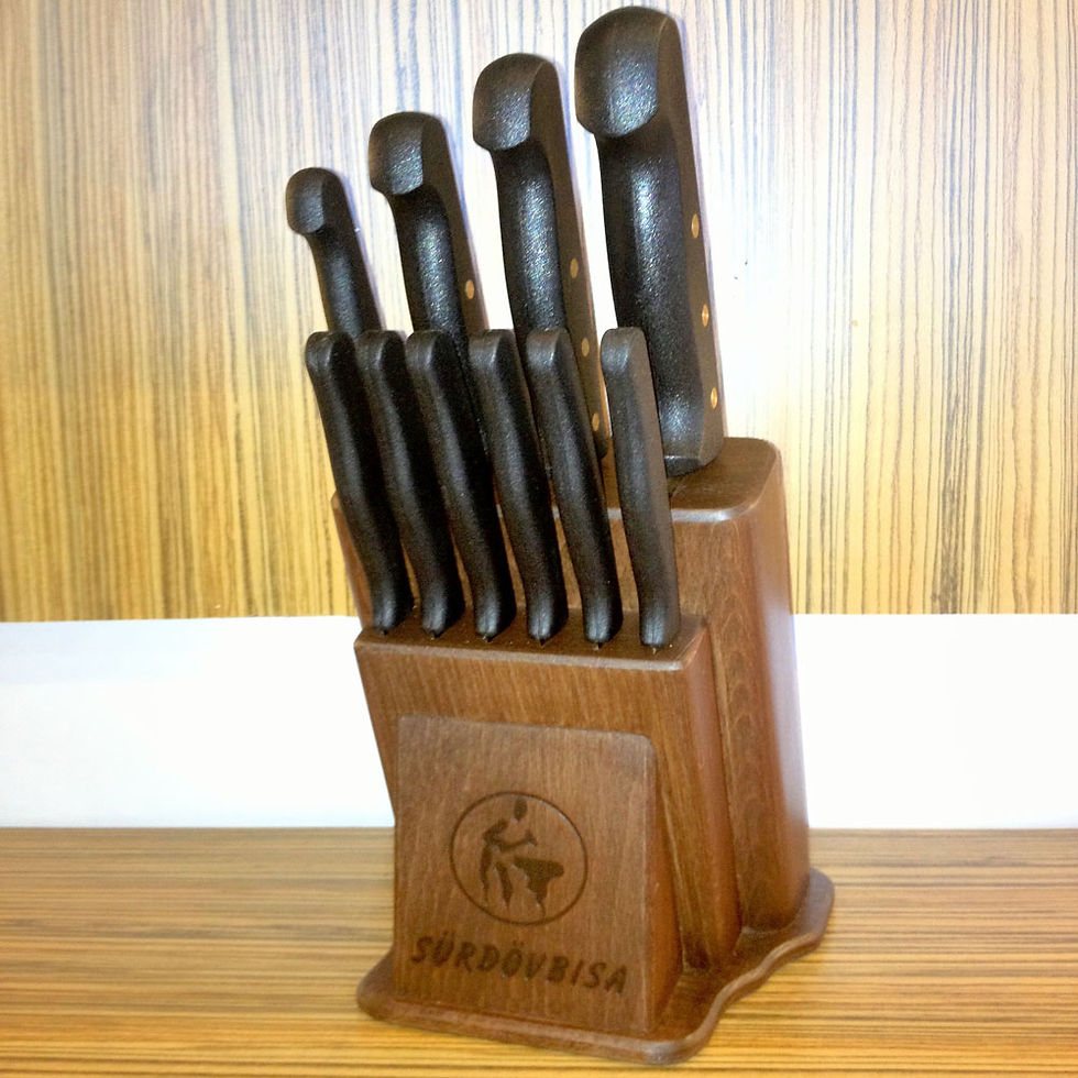 10'lu pimli bıçak Seti