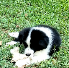 20190921_095605.jpg
