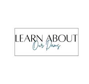 Explore insights into our breeding dams, where we prioritize transparency and provide valuable information on the pedigrees, health, and genetic background of our exceptional canine mothers. Gain a deeper understanding of our commitment to responsible breeding practices and the well-being of our dams, ensuring a trustworthy and informed choice for prospective pet owners.