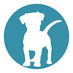 white-dog-teal-circle-big-house-k9-training-casa-grande