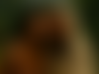 Lorem ipsum dolor sit amet.