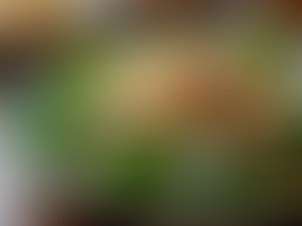 Exploring the Mediterranean Freshness: Spinach Quinoa Salad Recipe