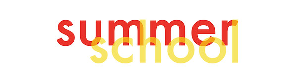 Summer school Logo.jpg