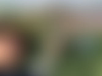 新玉ねぎのシーズン到来