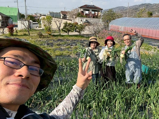 新玉ねぎのシーズン到来