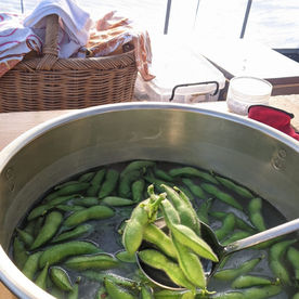10月といえば秋枝豆の季節