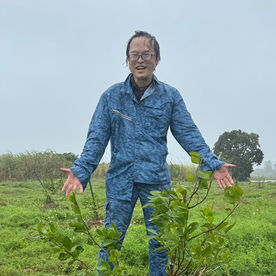 宮古島オーガニックライムプロジェクト NO6