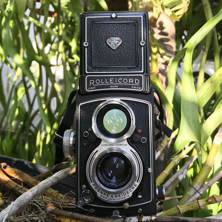 Rolleicord V กล้องฟิล์ม TLR จากเยอรมัน