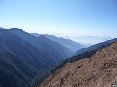 Meditation and Successful Cognitive Aging