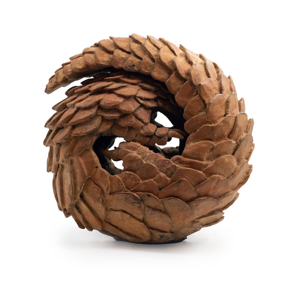Thumbnail: Medium Pangolin Rolling
