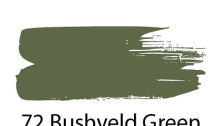 72 Bushveld Green Acrylic Paint