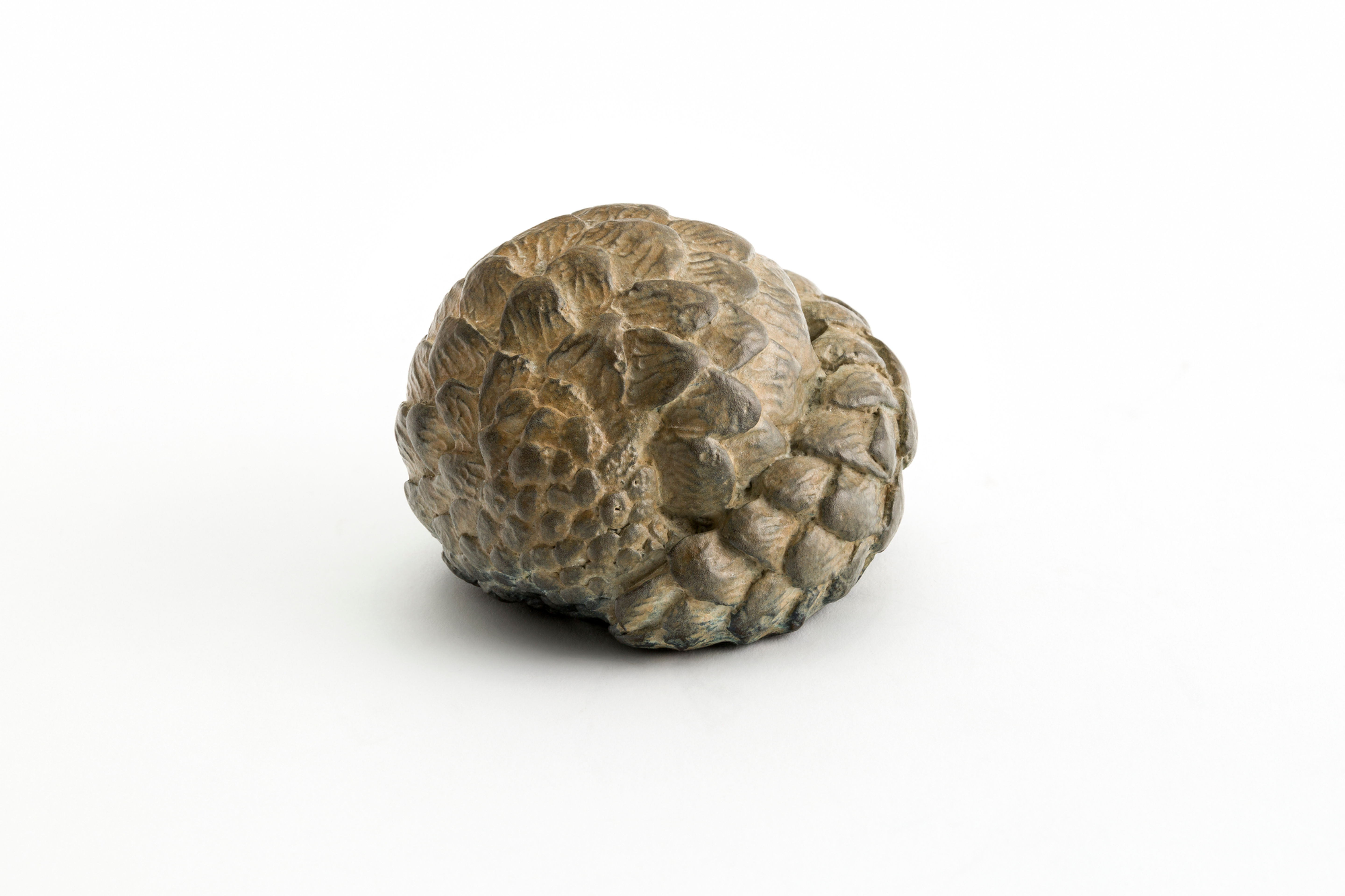 Bronze Sculpture Pangolin Ball Closed UNL GRPAN01