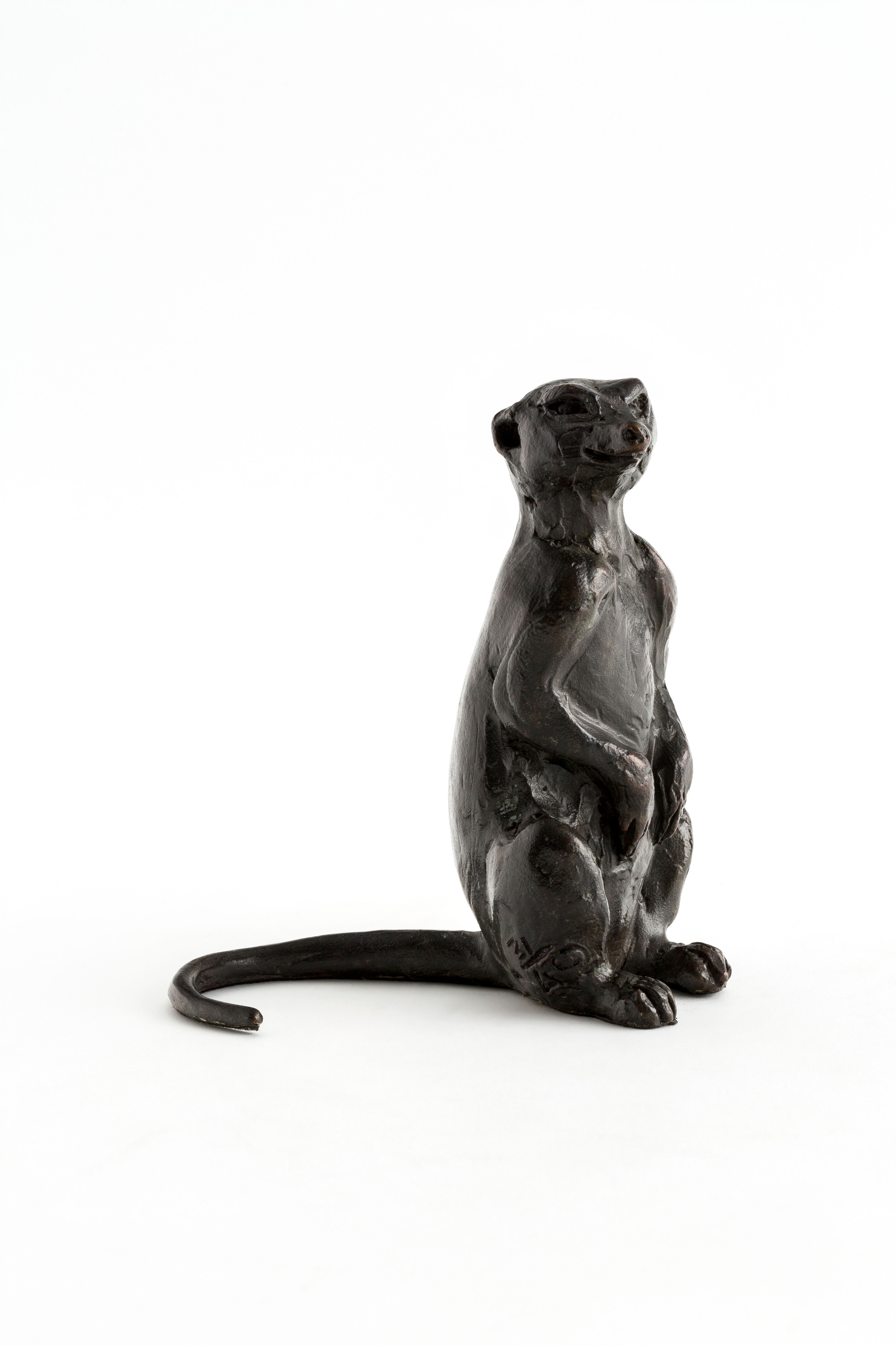 Bronze Sculpture Meerkat Family of 6.1 / Sit Look Straight  MEE024