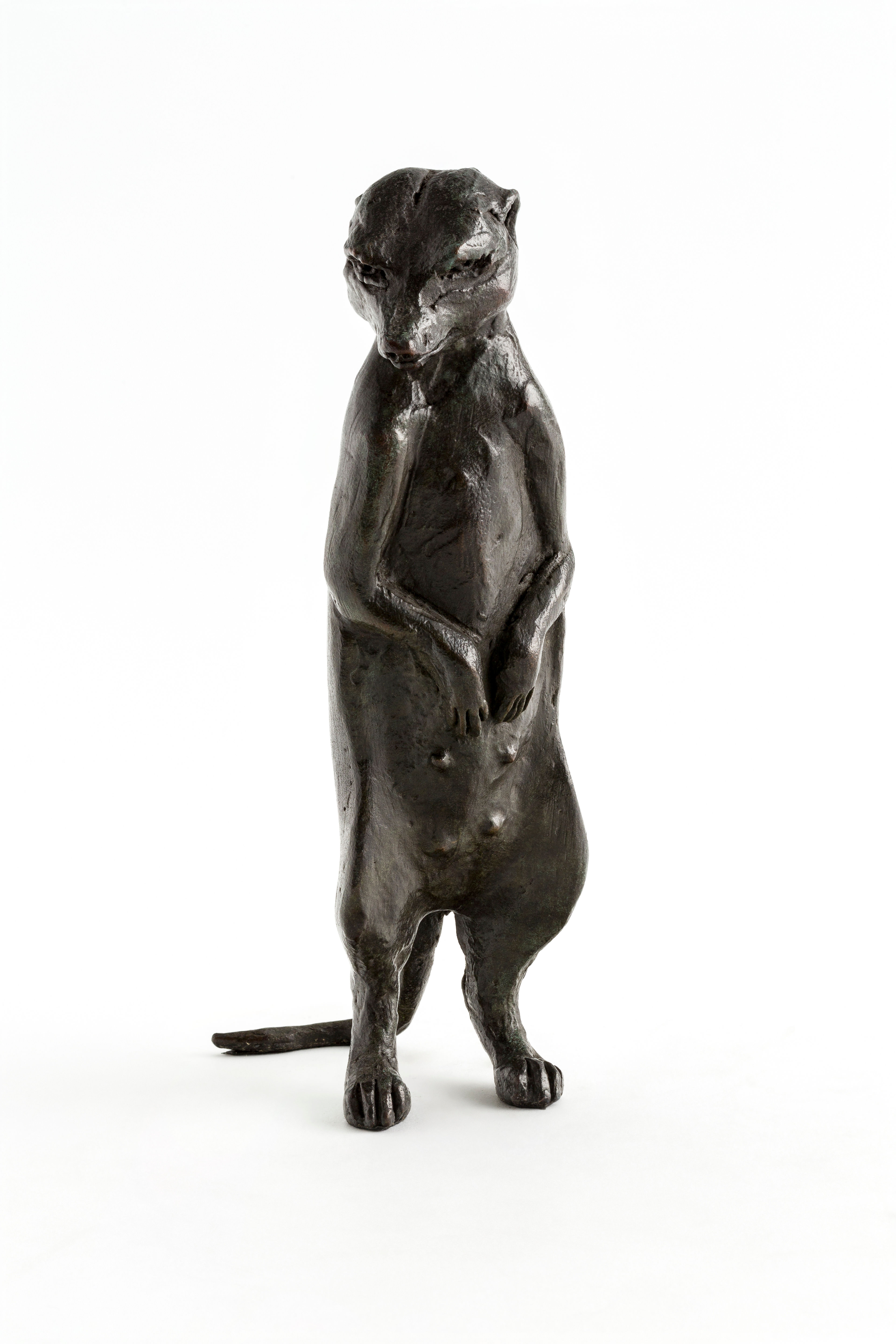 Bronze Sculpture Meerkat Family of 6.3 / Stand Look Down MEE026