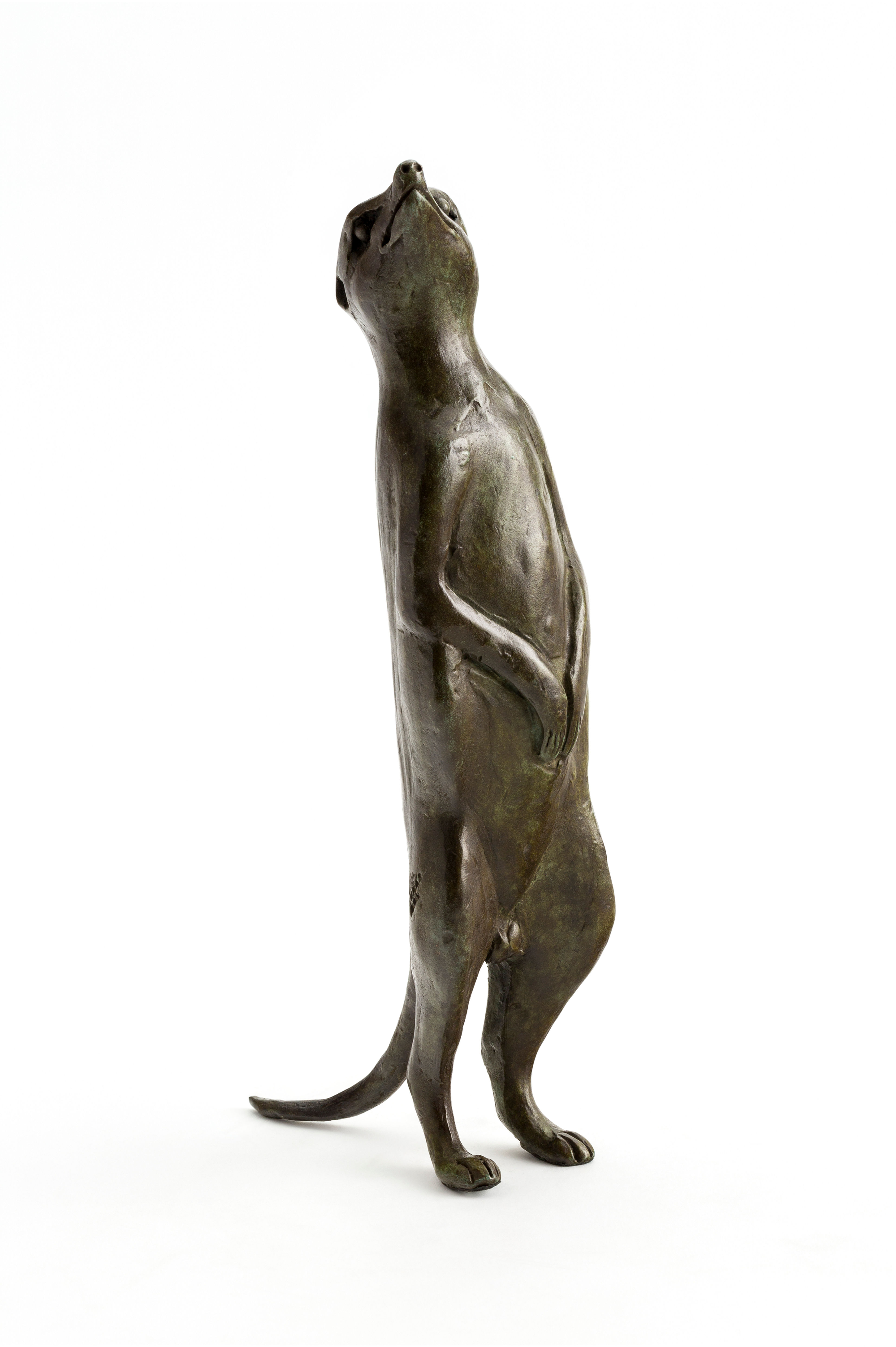 Bronze Sculpture/Meerkat Quartet Male Looking Up/ MEE021