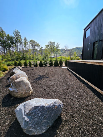 Stone Garden