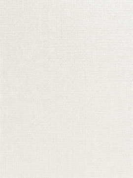 Pearl White Linen Texture