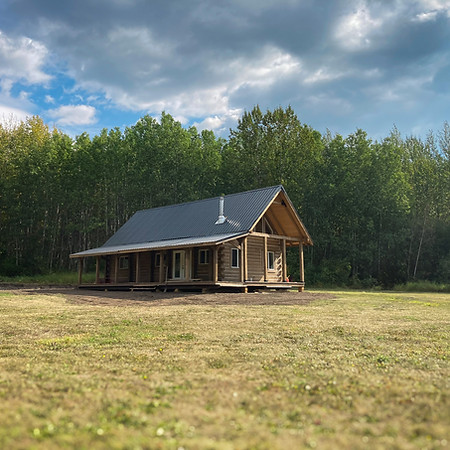 Cabin near a bush