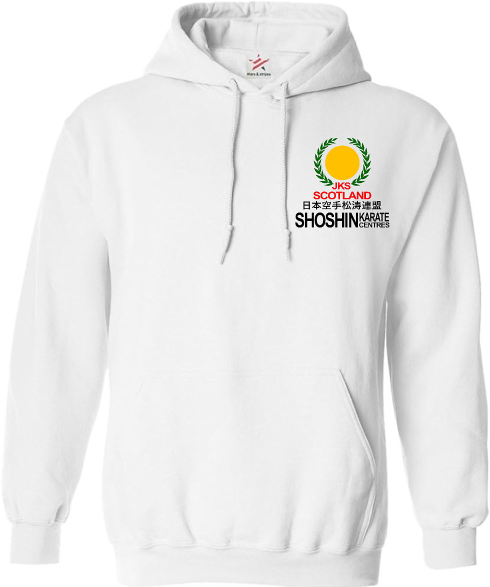 Thumbnail: Shoshin Hoodie - Coloured logo