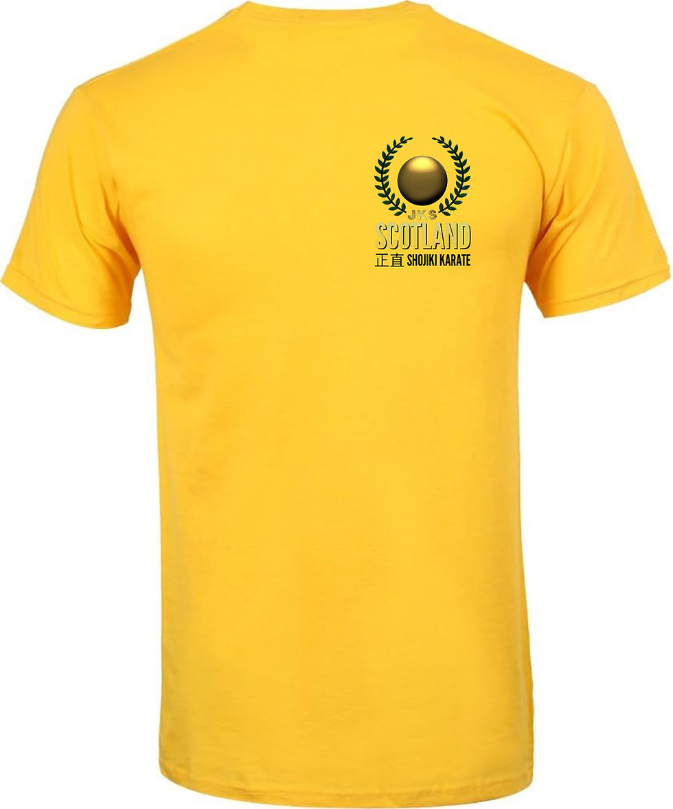 Thumbnail: JKS Shojiki Quick Dry T Shirts - Various Colours